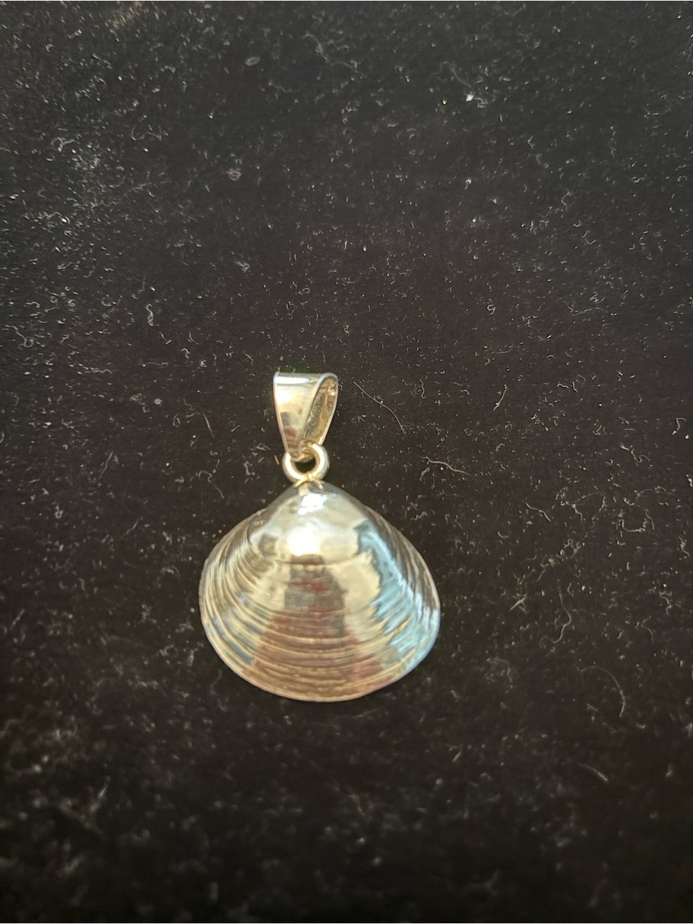 Sterling Silver Shell Pendant Necklace - Silver